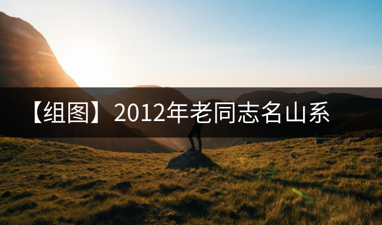 【組圖】2012年老同志名山系列帕沙古樹熟茶開湯 【組圖】2012年老同志名山系列帕沙古樹熟茶開湯