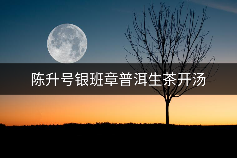 陳升號(hào)銀班章普洱生茶開湯 陳升號(hào)銀班章普洱生茶開湯