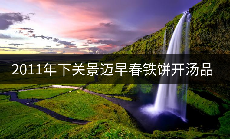 2011年下關(guān)景邁早春鐵餅開湯品鑒 2011年下關(guān)景邁早春鐵餅開湯品鑒