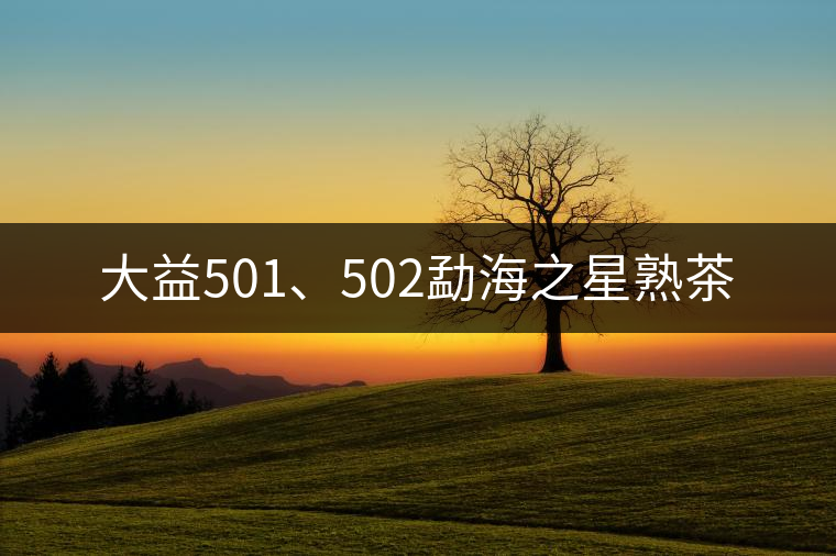 大益501、502勐海之星熟茶