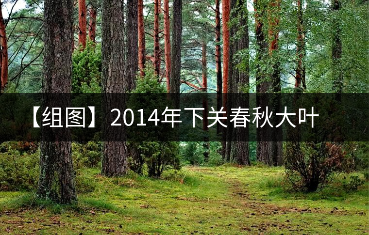 【組圖】2014年下關(guān)春秋大葉開湯 【組圖】2014年下關(guān)春秋大葉開湯