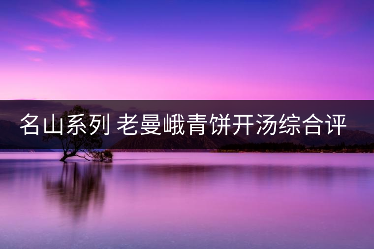 名山系列 老曼峨青餅開湯綜合評(píng)測(cè)