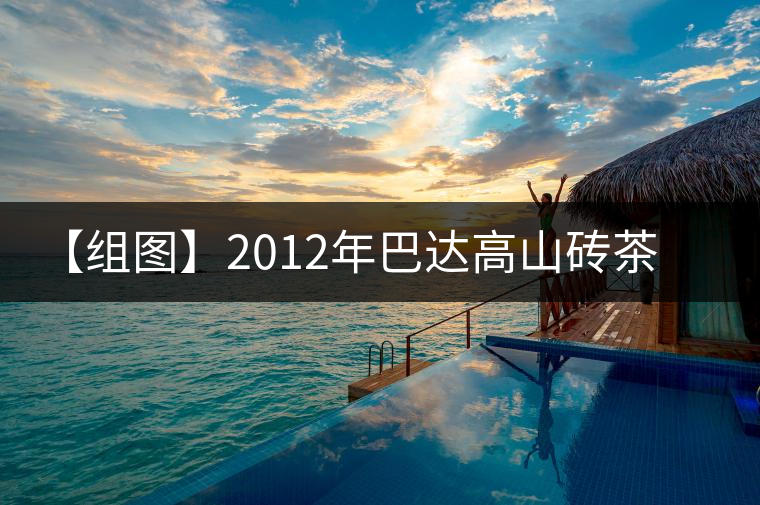 【組圖】2012年巴達(dá)高山磚茶開湯