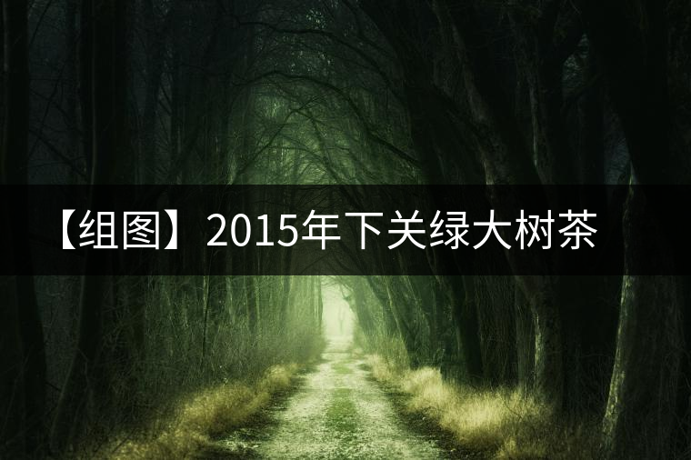 【組圖】2015年下關(guān)綠大樹茶餅開湯 【組圖】2015年下關(guān)綠大樹茶餅開湯
