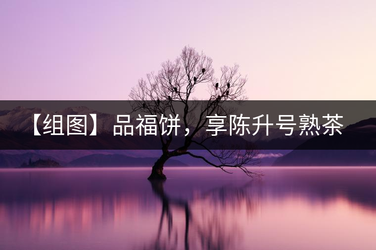 【組圖】品福餅，享陳升號(hào)熟茶滋味