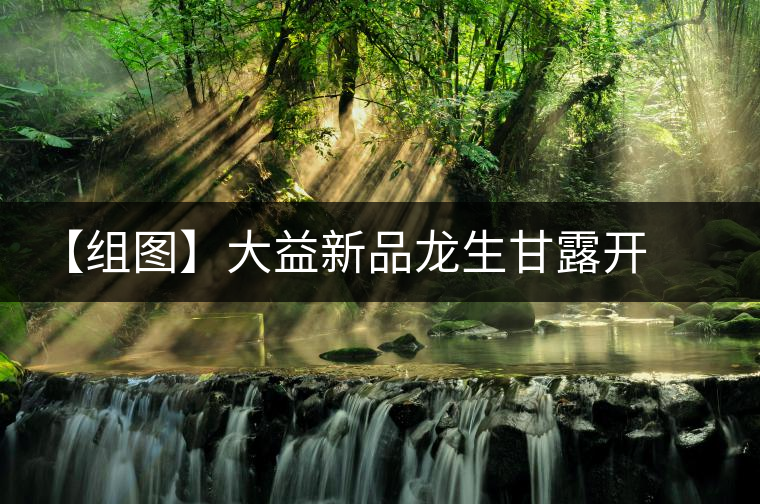 【組圖】大益新品龍生甘露開湯 【組圖】大益新品龍生甘露開湯