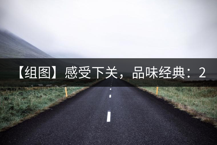 【組圖】感受下關，品味經典：2001年8853青餅開湯