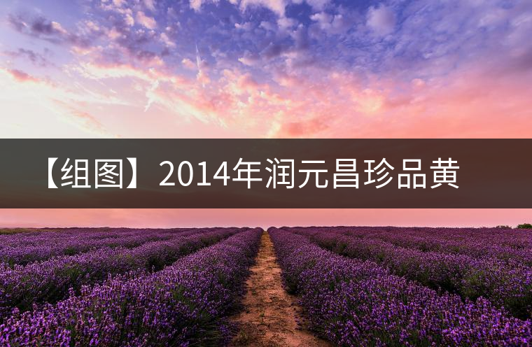 【組圖】2014年潤元昌珍品黃印開湯