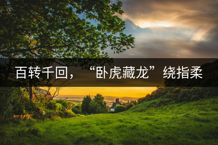 百轉(zhuǎn)千回，“臥虎藏龍”繞指柔