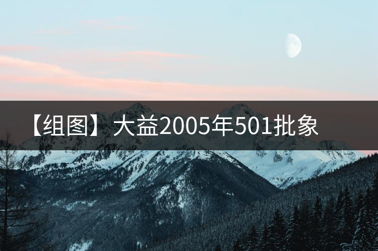 【組圖】大益2005年501批象山普洱開湯