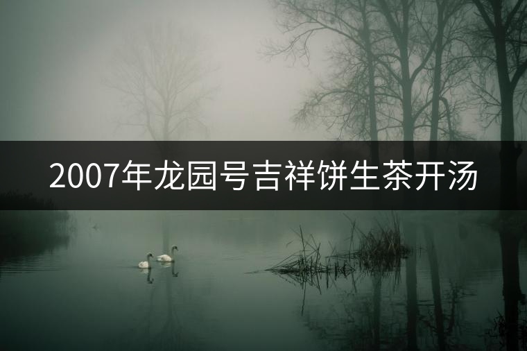 2007年龍園號(hào)吉祥餅生茶開(kāi)湯 2007年龍園號(hào)吉祥餅生茶開(kāi)湯