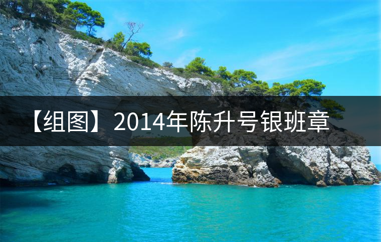 【組圖】2014年陳升號銀班章開湯 【組圖】2014年陳升號銀班章開湯