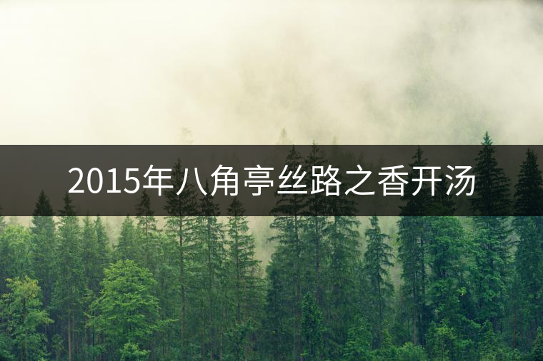 2015年八角亭絲路之香開湯 2015年八角亭絲路之香開湯