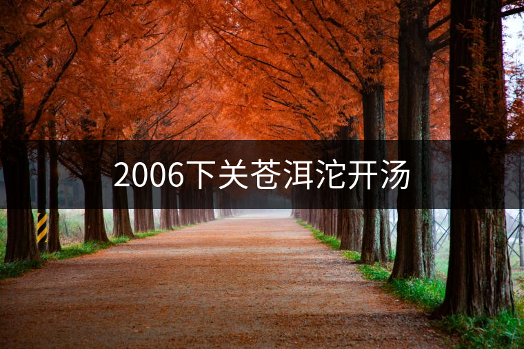 2006下關(guān)蒼洱沱開湯 2006下關(guān)蒼洱沱開湯