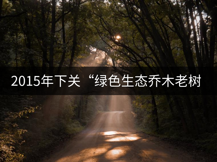 2015年下關(guān)“綠色生態(tài)喬木老樹茶”開湯 2015年下關(guān)“綠色生態(tài)喬木老樹茶”開湯