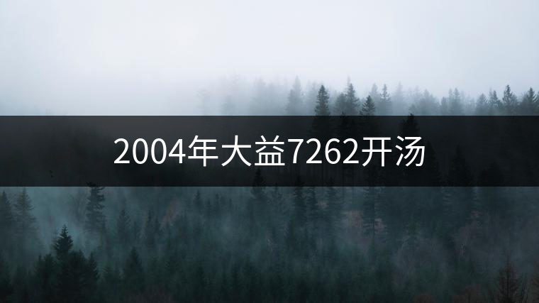 2004年大益7262開(kāi)湯 2004年大益7262開(kāi)湯