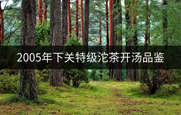 2005年下關(guān)特級沱茶開湯品鑒