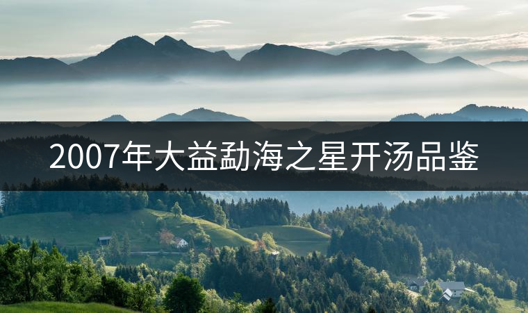 2007年大益勐海之星開(kāi)湯品鑒