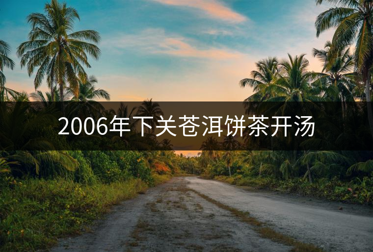 2006年下關(guān)蒼洱餅茶開(kāi)湯 2006年下關(guān)蒼洱餅茶開(kāi)湯