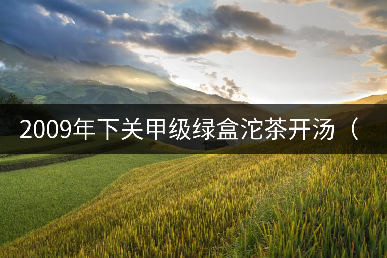 2009年下關(guān)甲級(jí)綠盒沱茶開(kāi)湯(圖閱) 2009年下關(guān)甲級(jí)綠盒沱茶開(kāi)湯(圖閱)