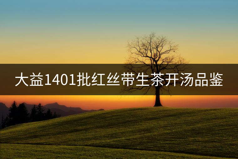 大益1401批紅絲帶生茶開(kāi)湯品鑒