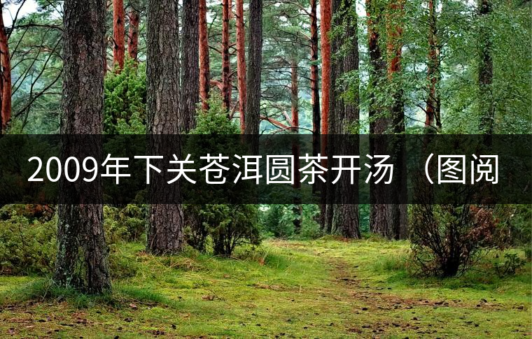 2009年下關(guān)蒼洱圓茶開湯 （圖閱）