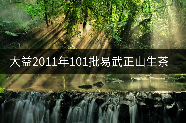 大益2011年101批易武正山生茶開湯 大益2011年101批易武正山生茶開湯