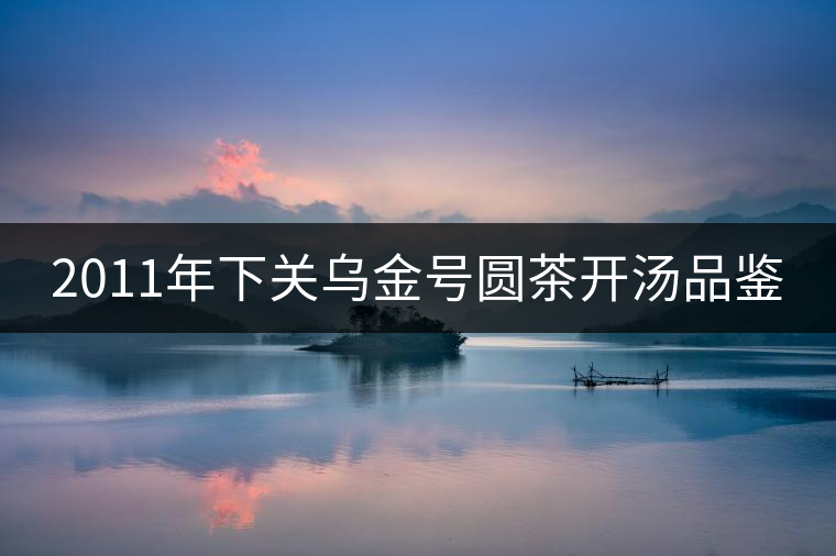 2011年下關(guān)烏金號(hào)圓茶開湯品鑒 2011年下關(guān)烏金號(hào)圓茶開湯品鑒