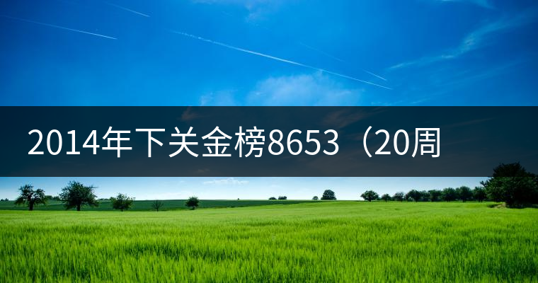 2014年下關(guān)金榜8653(20周年紀念餅)品評 2014年下關(guān)金榜8653(20周年紀念餅)品評