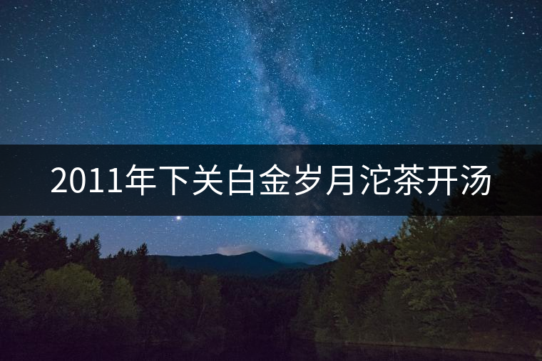 2011年下關白金歲月沱茶開湯 2011年下關白金歲月沱茶開湯