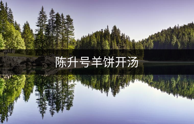 陳升號羊餅開湯 陳升號羊餅開湯