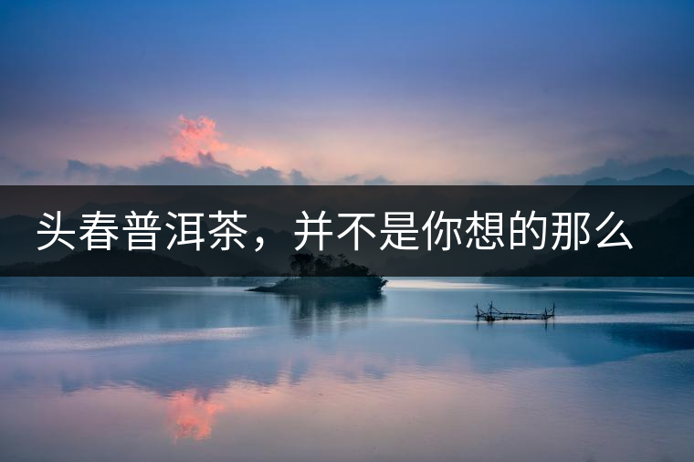 頭春普洱茶，并不是你想的那么好