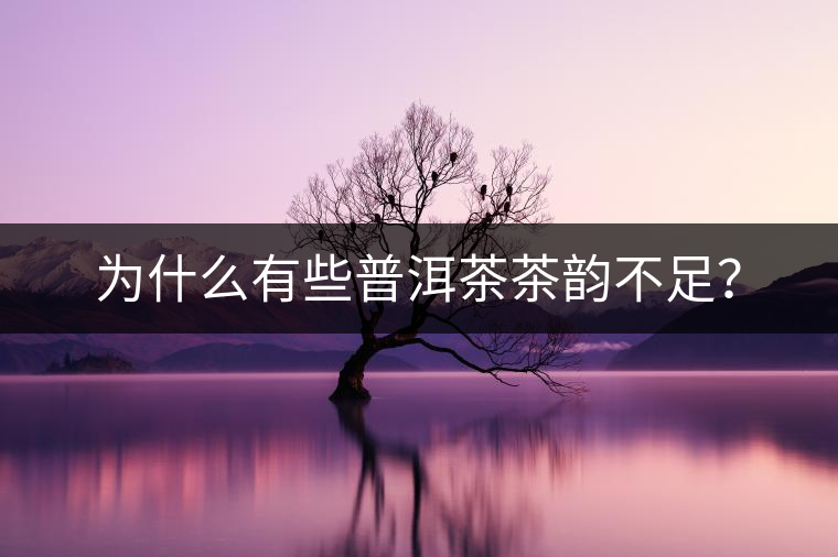 為什么有些普洱茶茶韻不足？