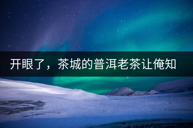 開眼了，茶城的普洱老茶讓俺知道了老茶樹