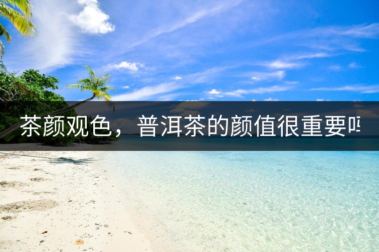 茶顏觀色，普洱茶的顏值很重要嗎？