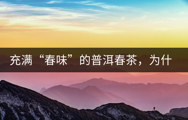 充滿“春味”的普洱春茶，為什么值得期待？