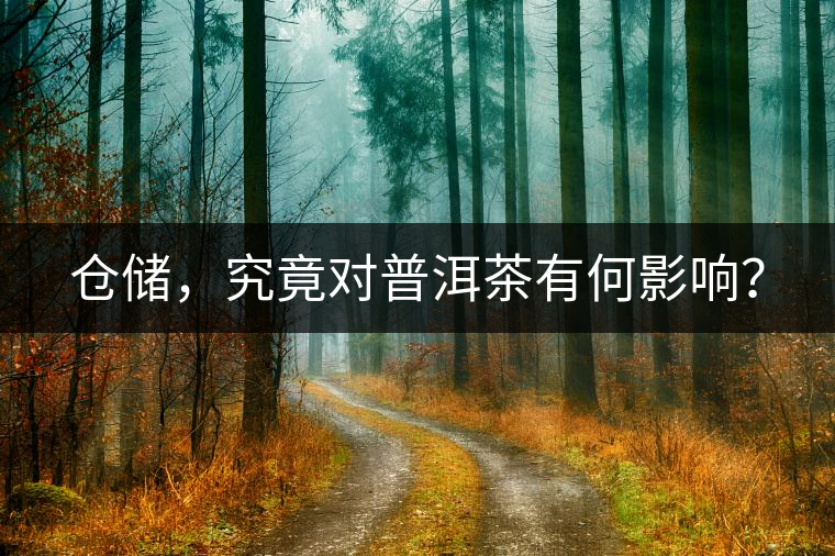 倉儲，究竟對普洱茶有何影響？