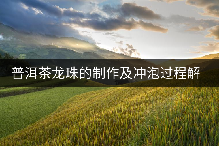 普洱茶龍珠的制作及沖泡過(guò)程解析 普洱茶龍珠的制作及沖泡過(guò)程解析