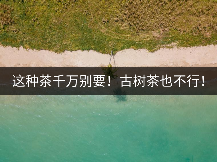 這種茶千萬別要！古樹茶也不行！