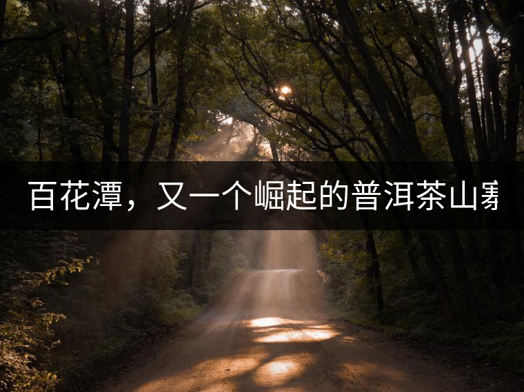 百花潭，又一個崛起的普洱茶山寨！