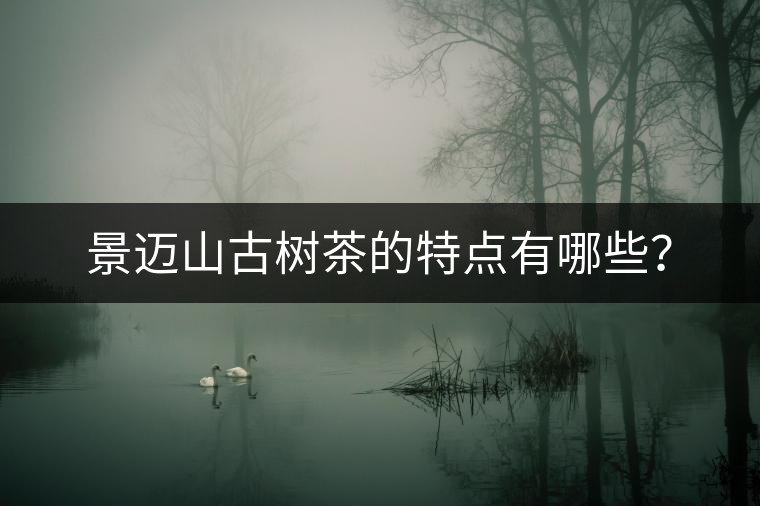 景邁山古樹茶的特點(diǎn)有哪些？