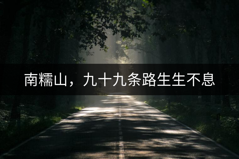 南糯山，九十九條路生生不息