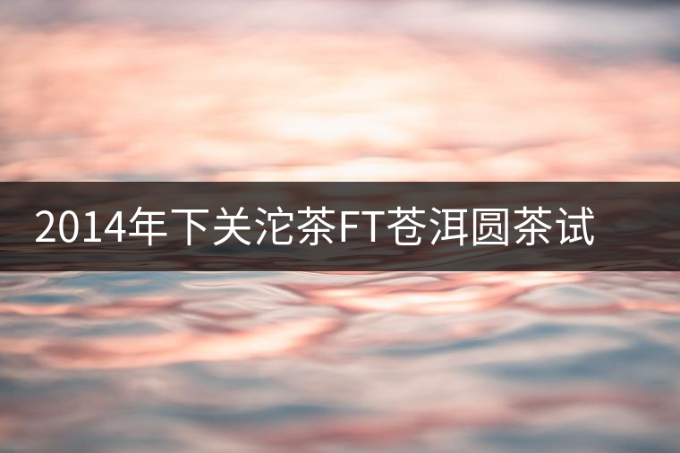 2014年下關(guān)沱茶FT蒼洱圓茶試用報(bào)告 2014年下關(guān)沱茶FT蒼洱圓茶試用報(bào)告