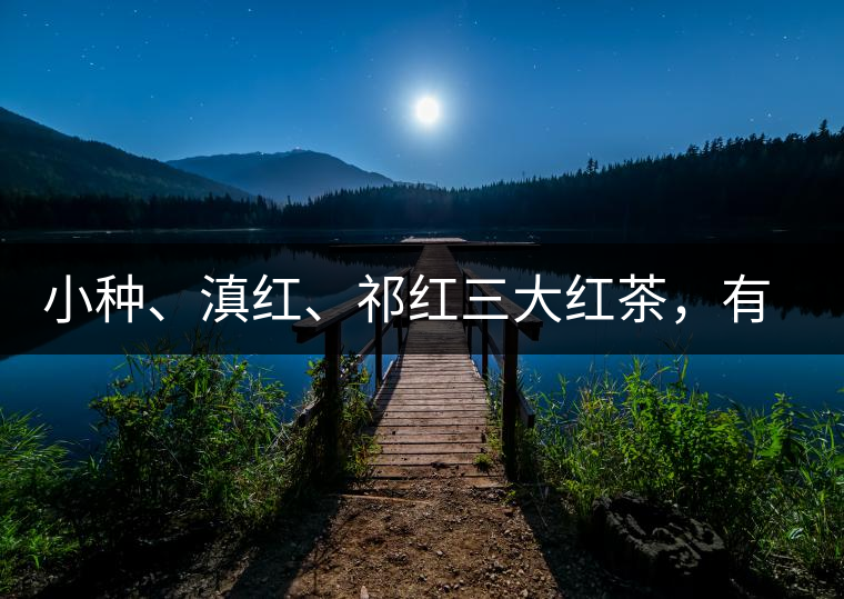 小種、滇紅、祁紅三大紅茶，有何區(qū)別