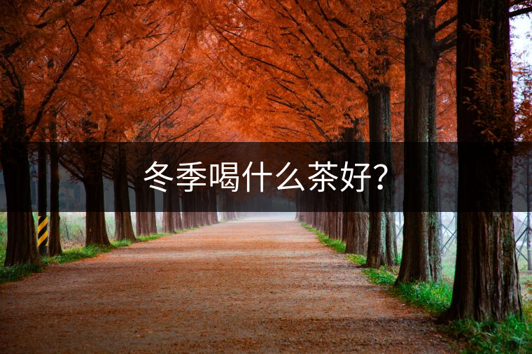 冬季喝什么茶好？