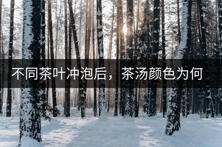 不同茶葉沖泡后，茶湯顏色為何各不相同？