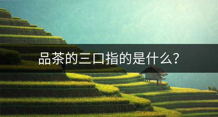 品茶的三口指的是什么？