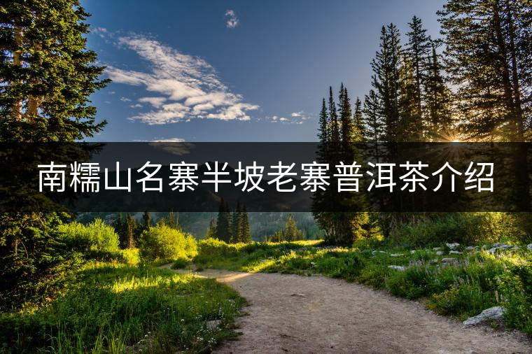 南糯山名寨半坡老寨普洱茶介紹 南糯山名寨半坡老寨普洱茶介紹
