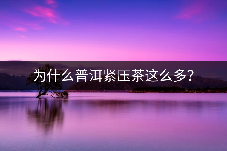 為什么普洱緊壓茶這么多？