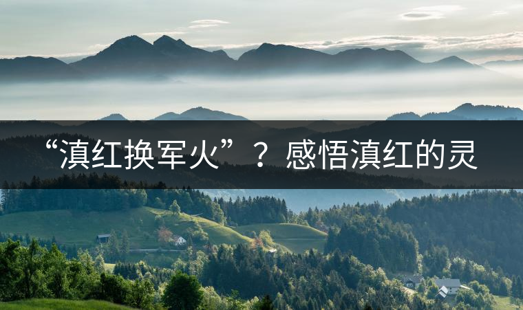 “滇紅換軍火”？感悟滇紅的靈與性！